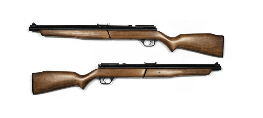 Benjamin 392 Bolt Action Variable Pump Air Rifle Review : Performance