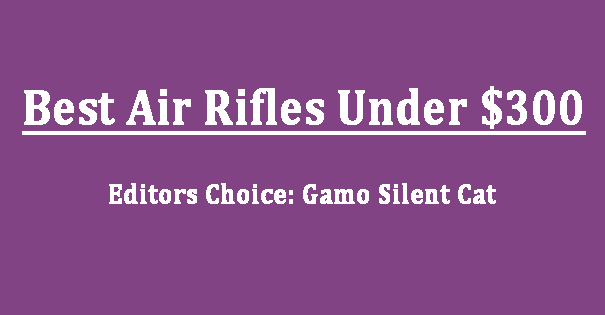 Editors Choice 10 Best Air Rifles Under $300 Review