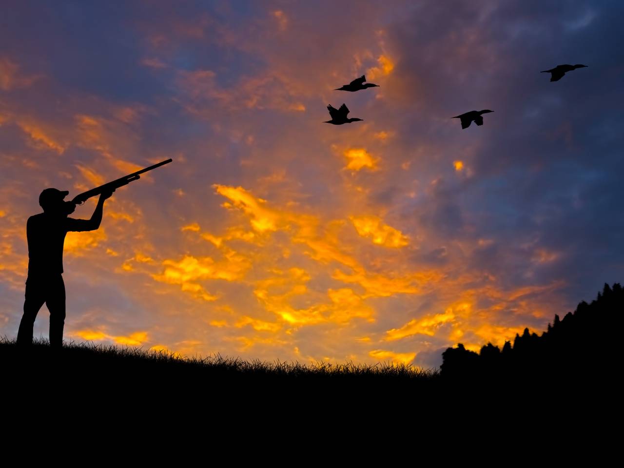 Top 8 Hunting Destinations In The World